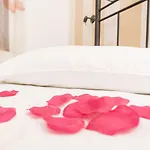 Aparthotel Voula 4*