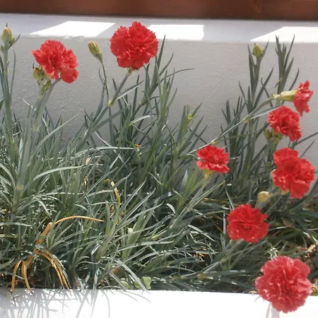 Appart hôtel Voula 4*