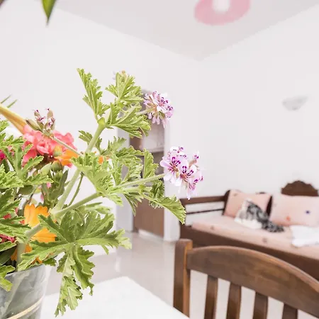 Voula Perissa (Santorini)