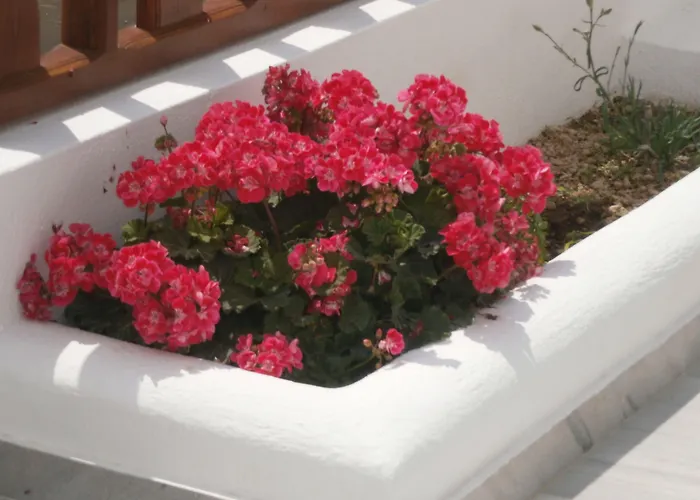 Voula Perissa (Santorini)