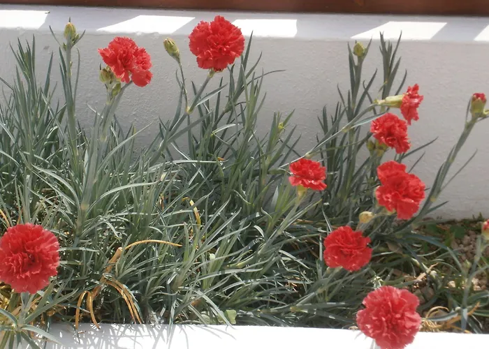 公寓式酒店 沃拉别墅酒店 4*