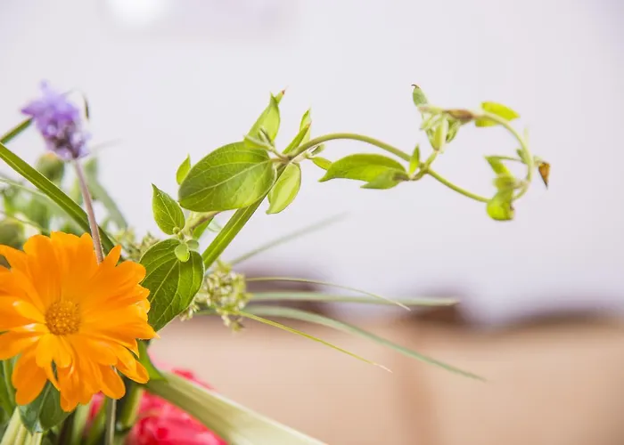 沃拉别墅酒店 4*